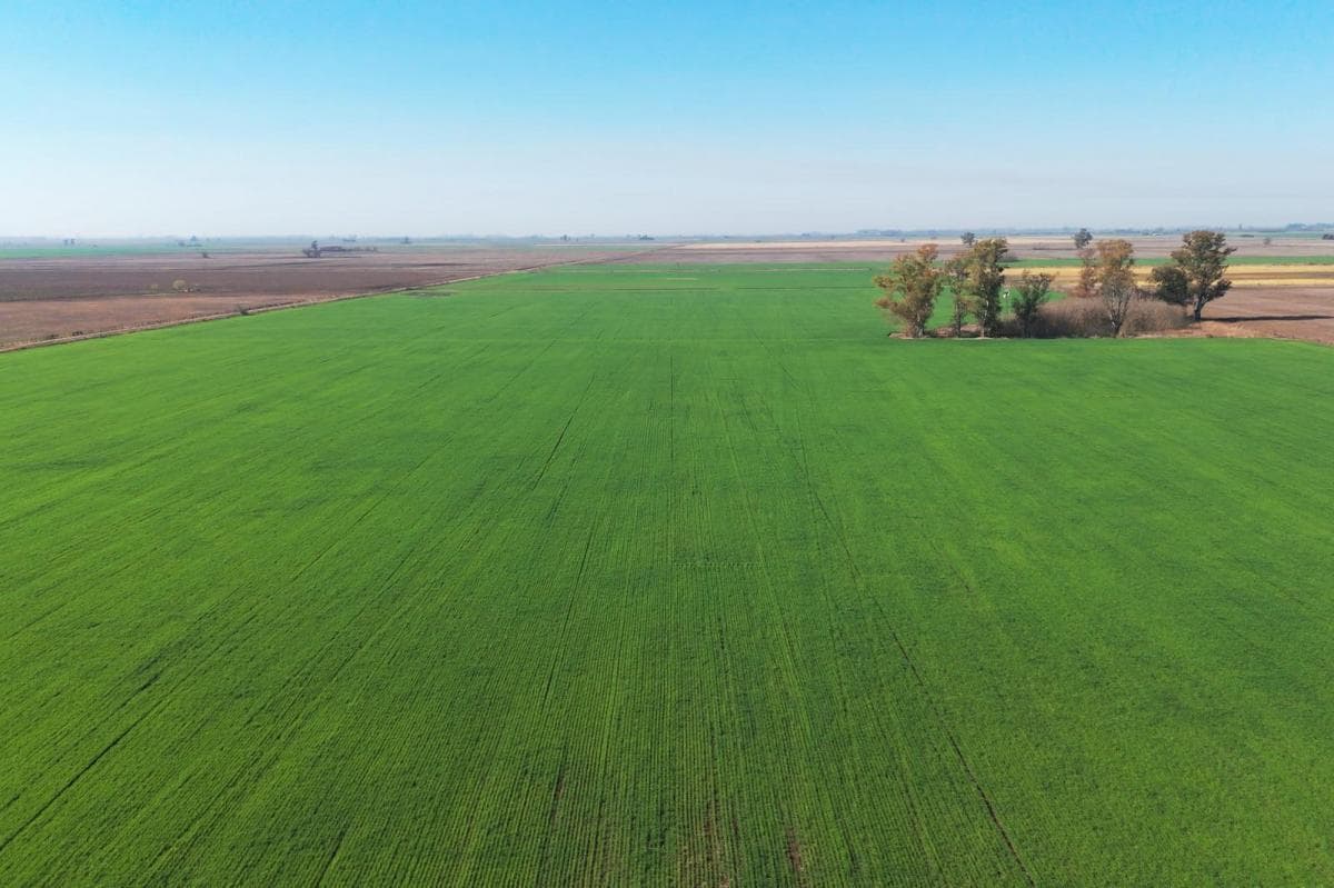 Galería de propiedad 3