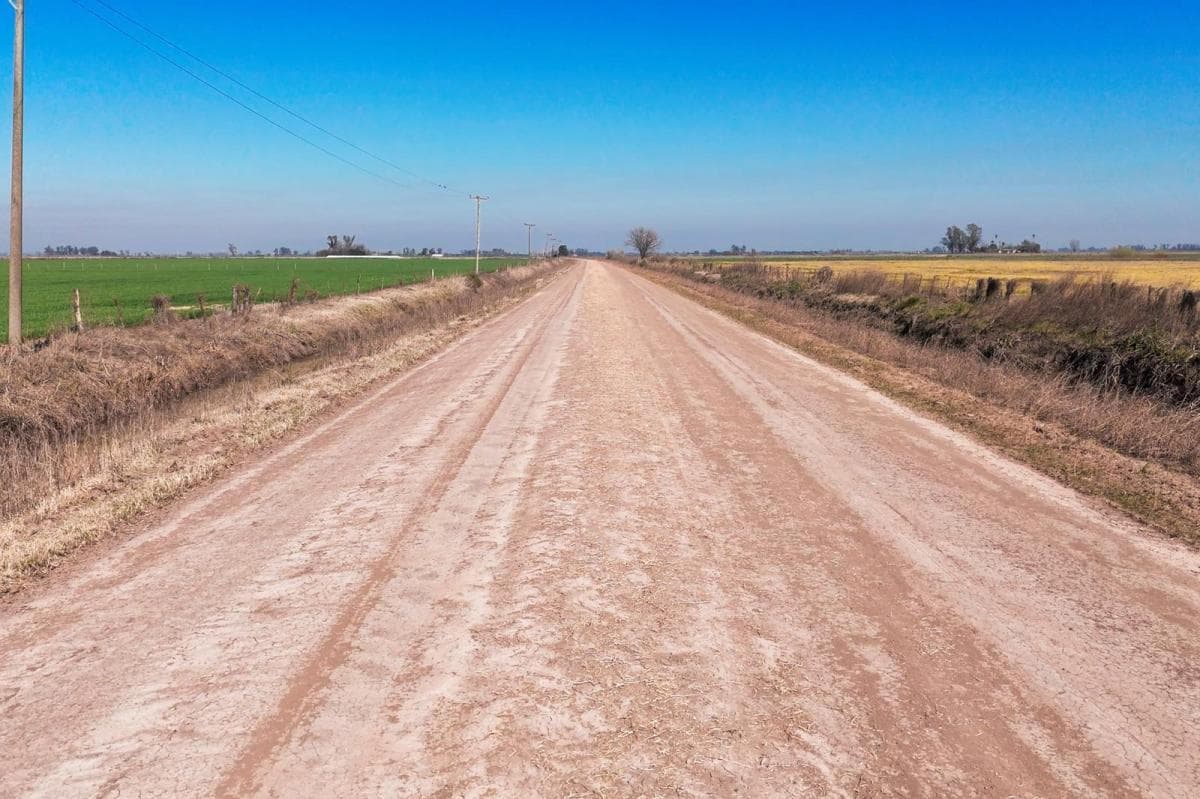 Imagen de la propiedad 6