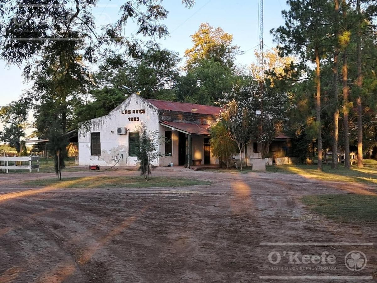 Galería de propiedad 1