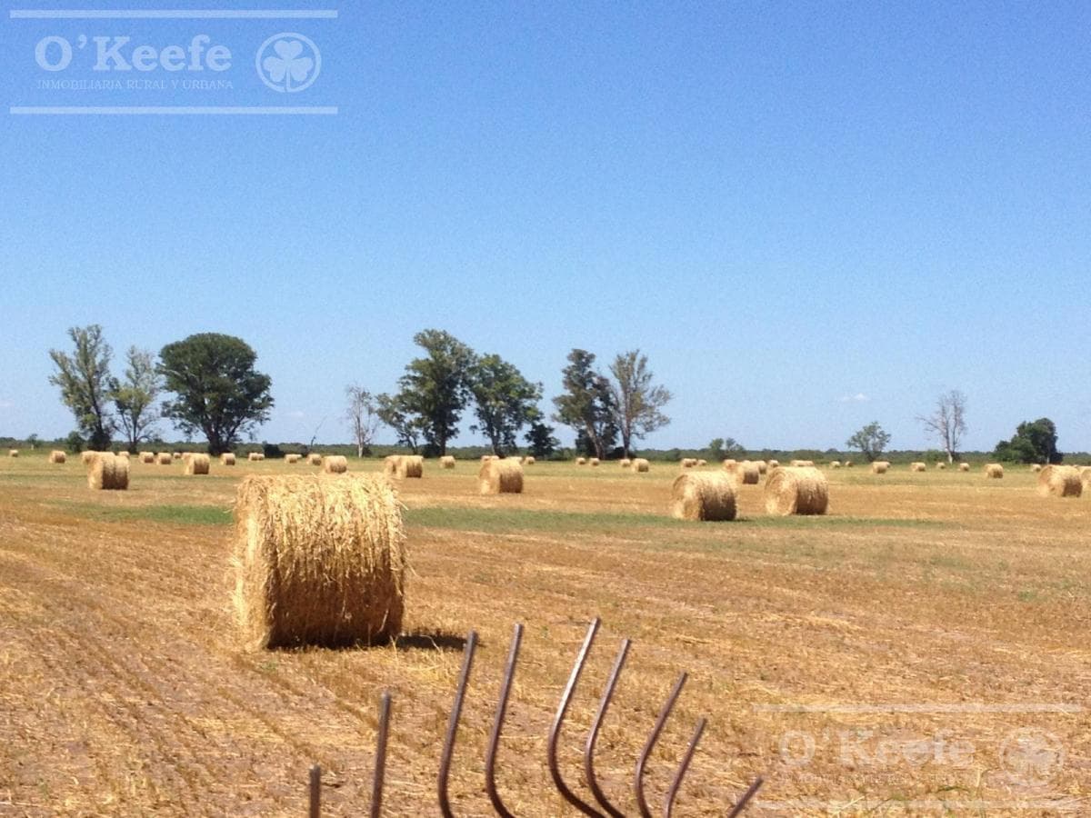 Galería de propiedad 4