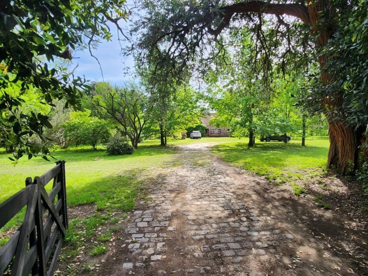 Galería de propiedad 4