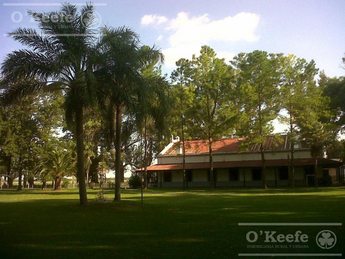 Galería de propiedad 3