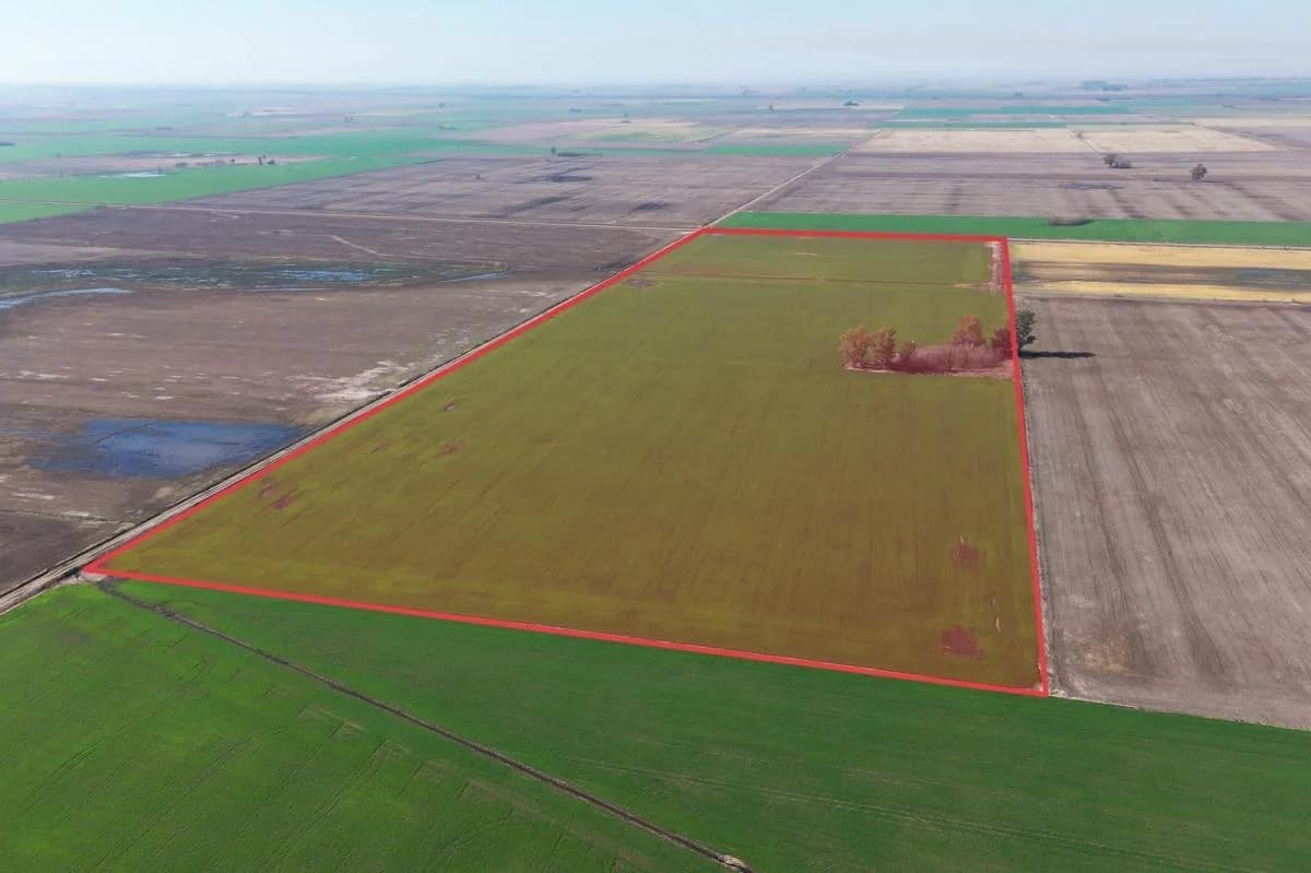 Campo Salto Grande 30 Ha., Bandera, Stgo. del Estero