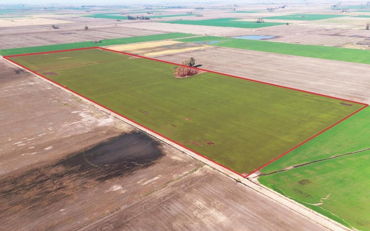 Galería de propiedad 2