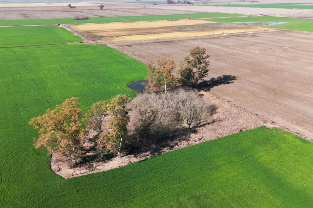 Imagen de la propiedad 7